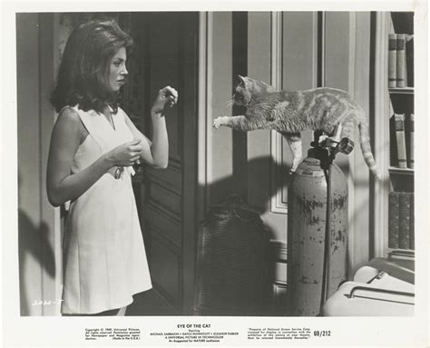 gayle hunnicutt nude|Gayle Hunnicutt Sexy Scene in Eye Of The Cat